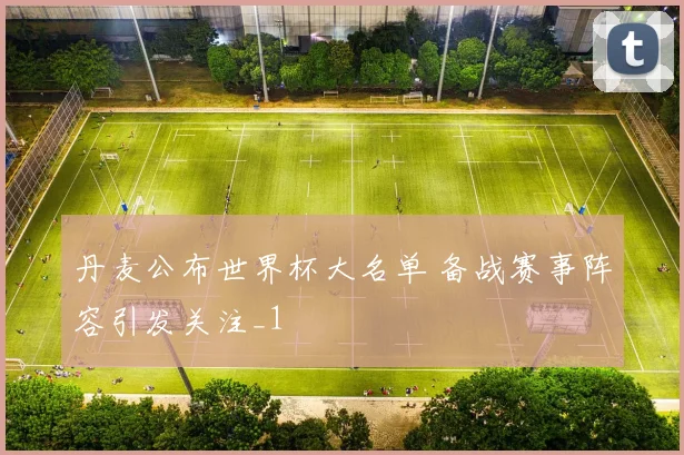 丹麦公布世界杯大名单 备战赛事阵容引发关注_1