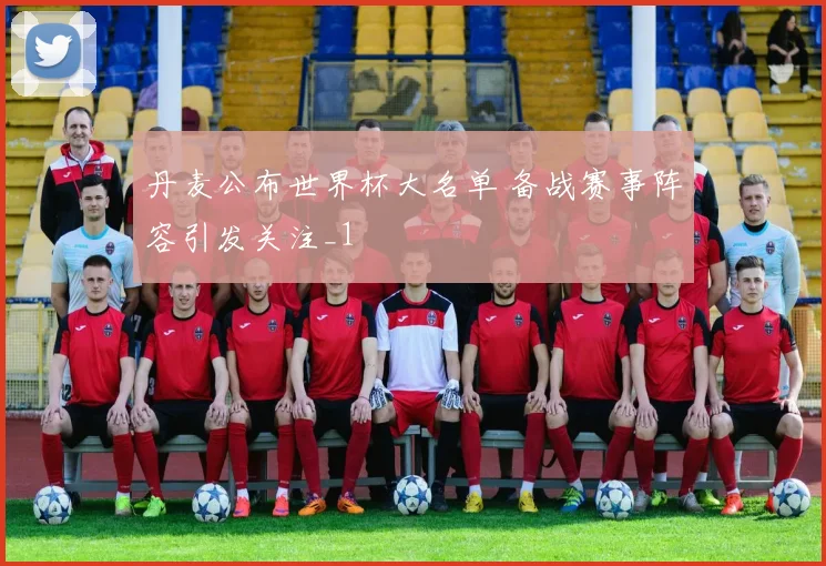 丹麦公布世界杯大名单 备战赛事阵容引发关注_1
